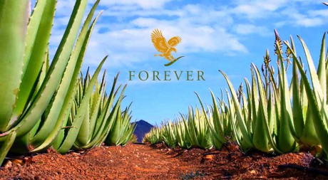 Aloe Forever Living - VR - Aloepriroda